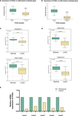 Corrigendum: ITGAL expression in non-small-cell lung cancer tissue and its association with immune infiltrates